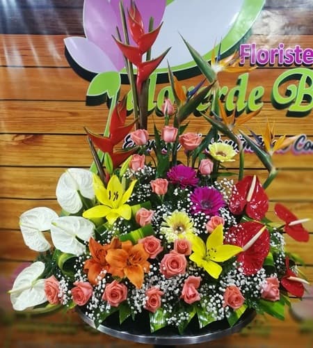 exotico 2018 - Floristería | Palo Verde Blis | Arreglos Florales | Flores |  Cúcuta